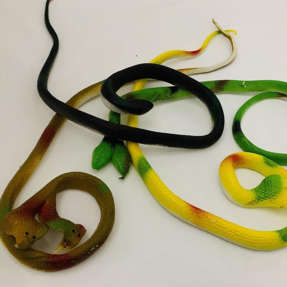 双头眼镜蛇玩具大号橡胶蛇70厘米创意整蛊恶搞吓人仿真软胶假蛇儿童