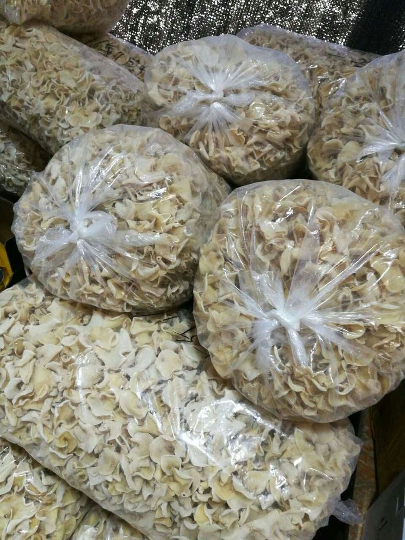 白玉木耳东北特产长白山秋新货黑白木耳干货袋装250g精品火锅长白山