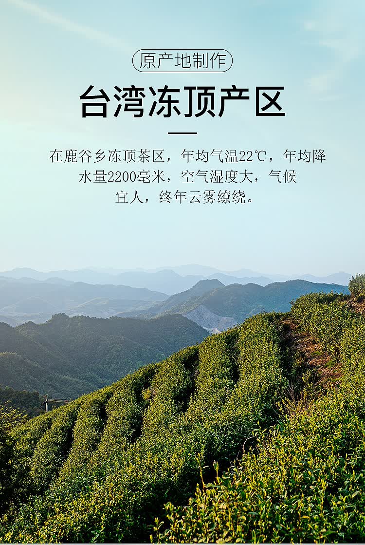 原装台湾冻顶乌龙茶鹿谷乡合作社冻顶比赛茶乌龙组系列三梅五朵梅和