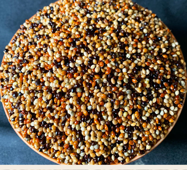 虎皮牡丹玄凤中小型鹦鹉鸟食饲料五色黍子鹦鹉混合营养粮谷子检疫款5