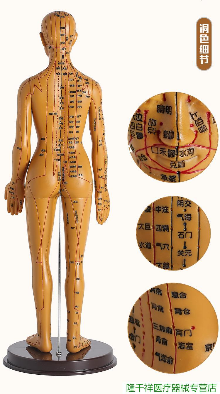 针灸铜人 人体模型中医经络针炙穴位模型全身小人可扎针练习皮肤教学
