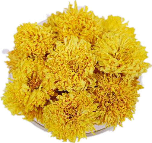 云台山冰菊茶叶河南焦作温县太极怀府冰菊花韵花游菊云台特产冰菊花怀