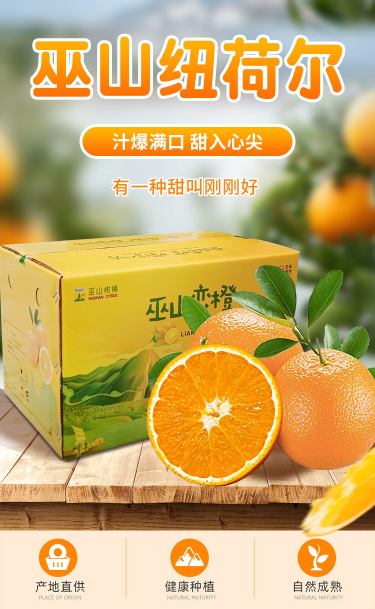 巫山纽荷尔脐橙巫山恋橙重庆特产曲尺甜橙子手剥橙时令新鲜水果整箱