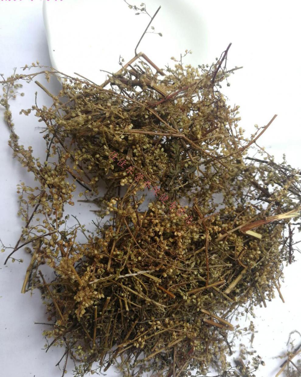 黄花蒿中草药500g青蒿为菊科植物黄花蒿的干燥地上部分新鲜干货商品