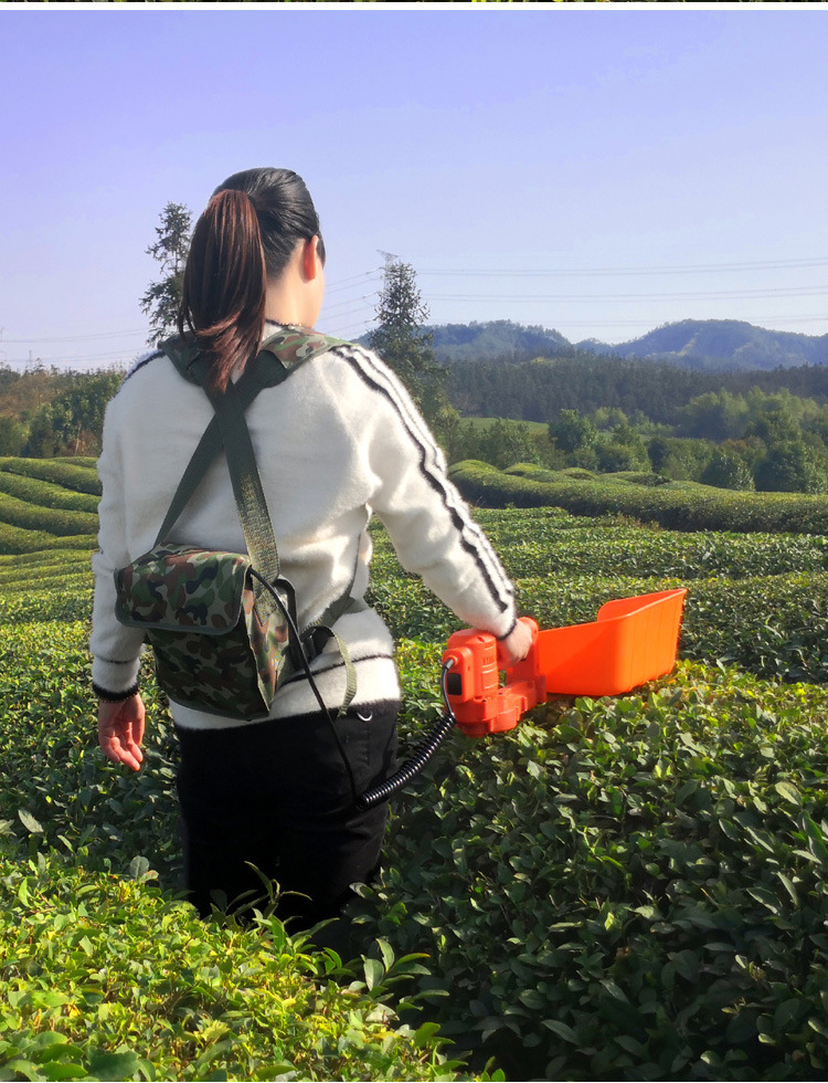 雷帕汀 无刷电动采茶机单人手便携式草莓修剪机充电绿篱机小型茶树