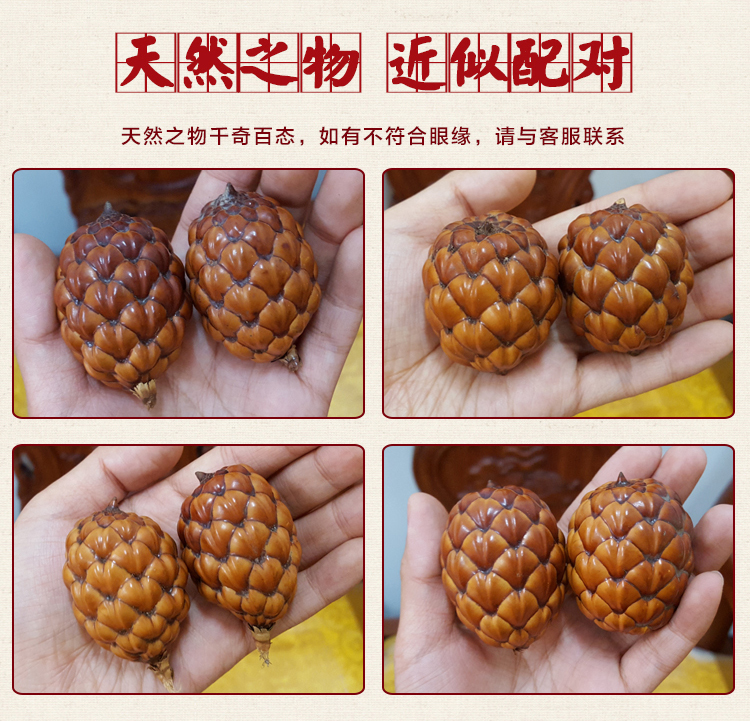 孤潮曼gcm铁树子铁树籽文玩菩提子原籽手串手把件把玩一对长度5560mm