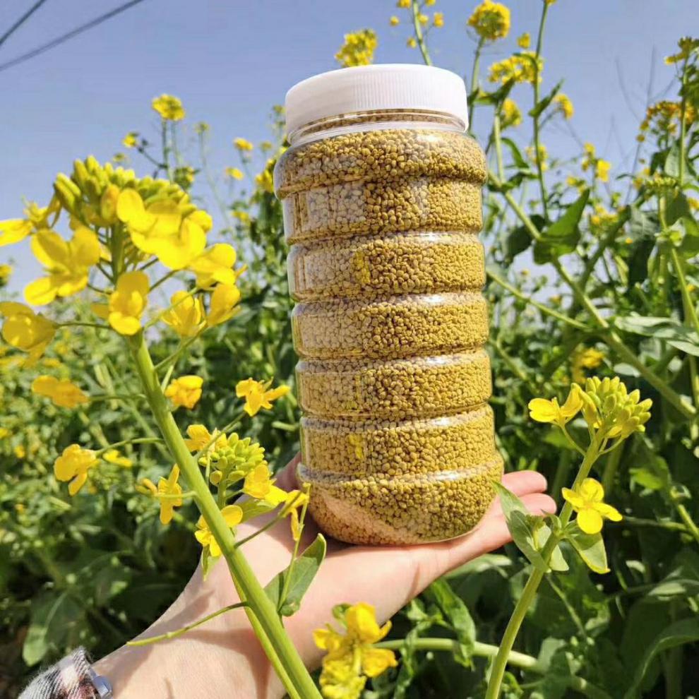 油菜花蜜五斤【图片 价格 品牌 报价】-京东