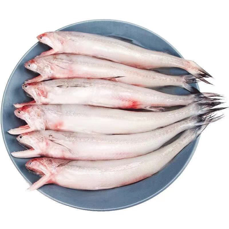 新鲜速冻豆腐鱼九肚鱼龙头鱼面条鱼狗母鱼可做宝宝辅食当季海鲜青封铭
