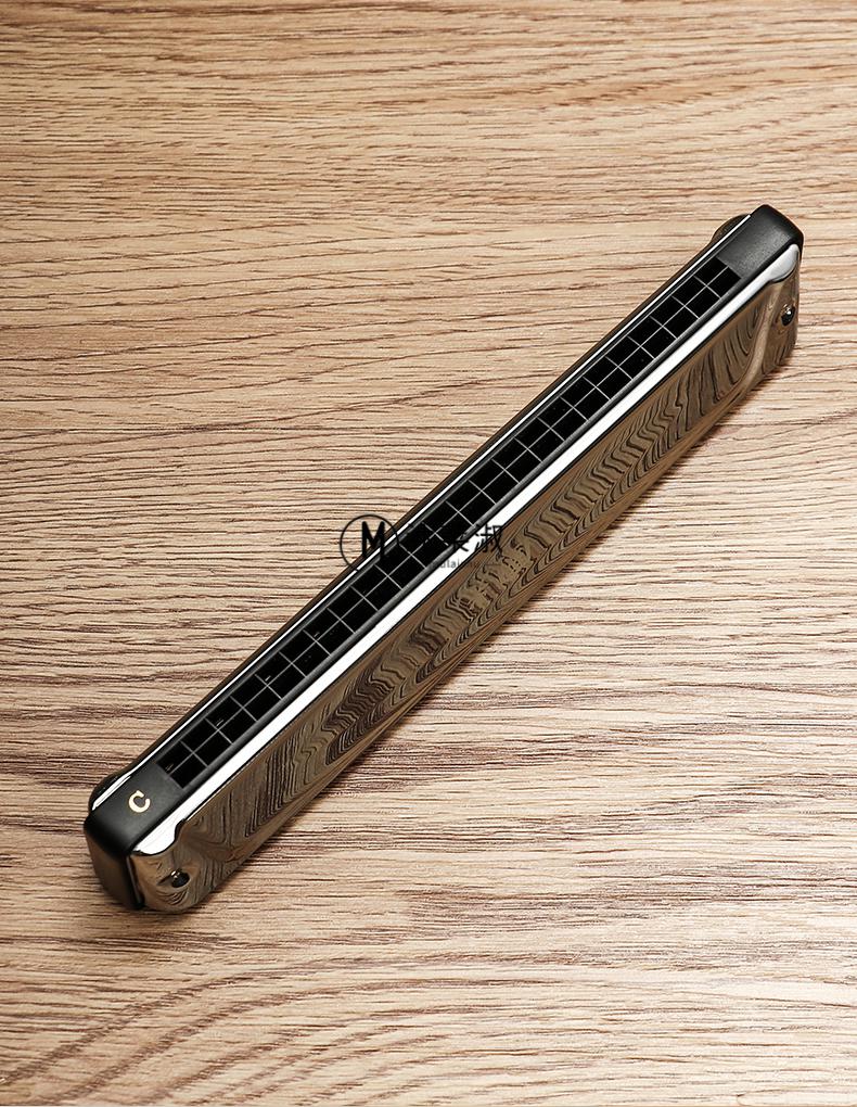 口琴初学者tombo上海国光演奏级复音口琴重音c调成人初学者入门乐器