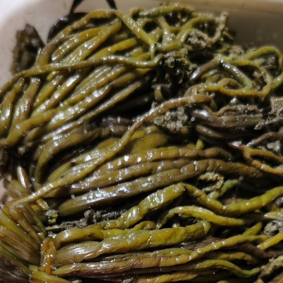 东北咸蕨菜农家手工新鲜腌制长白山咸蕨菜无老根 三斤咸蕨菜【图片