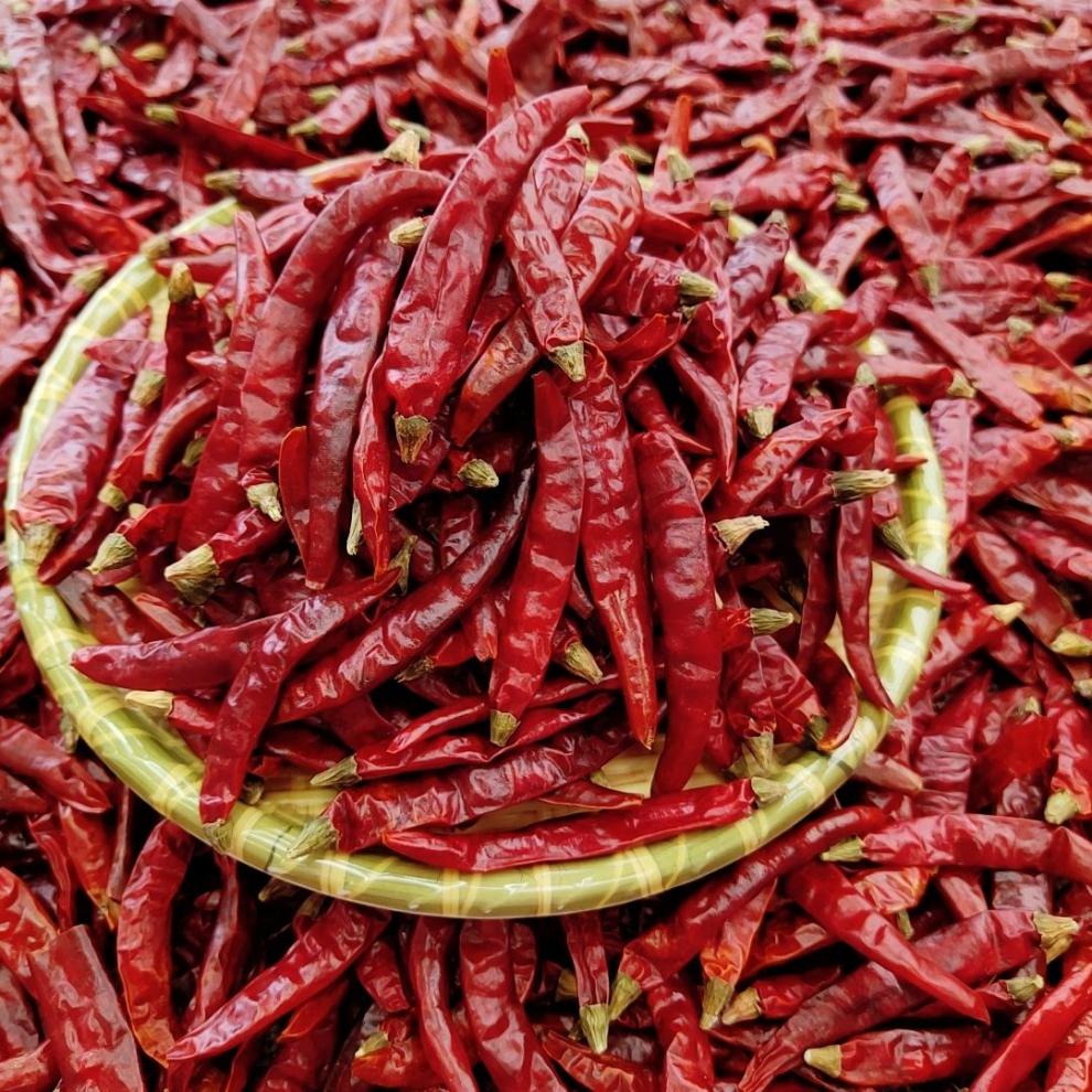 椒魔鬼辣变态辣超辣辣椒干加工辣椒段辣椒面中辣细粉500g1斤装