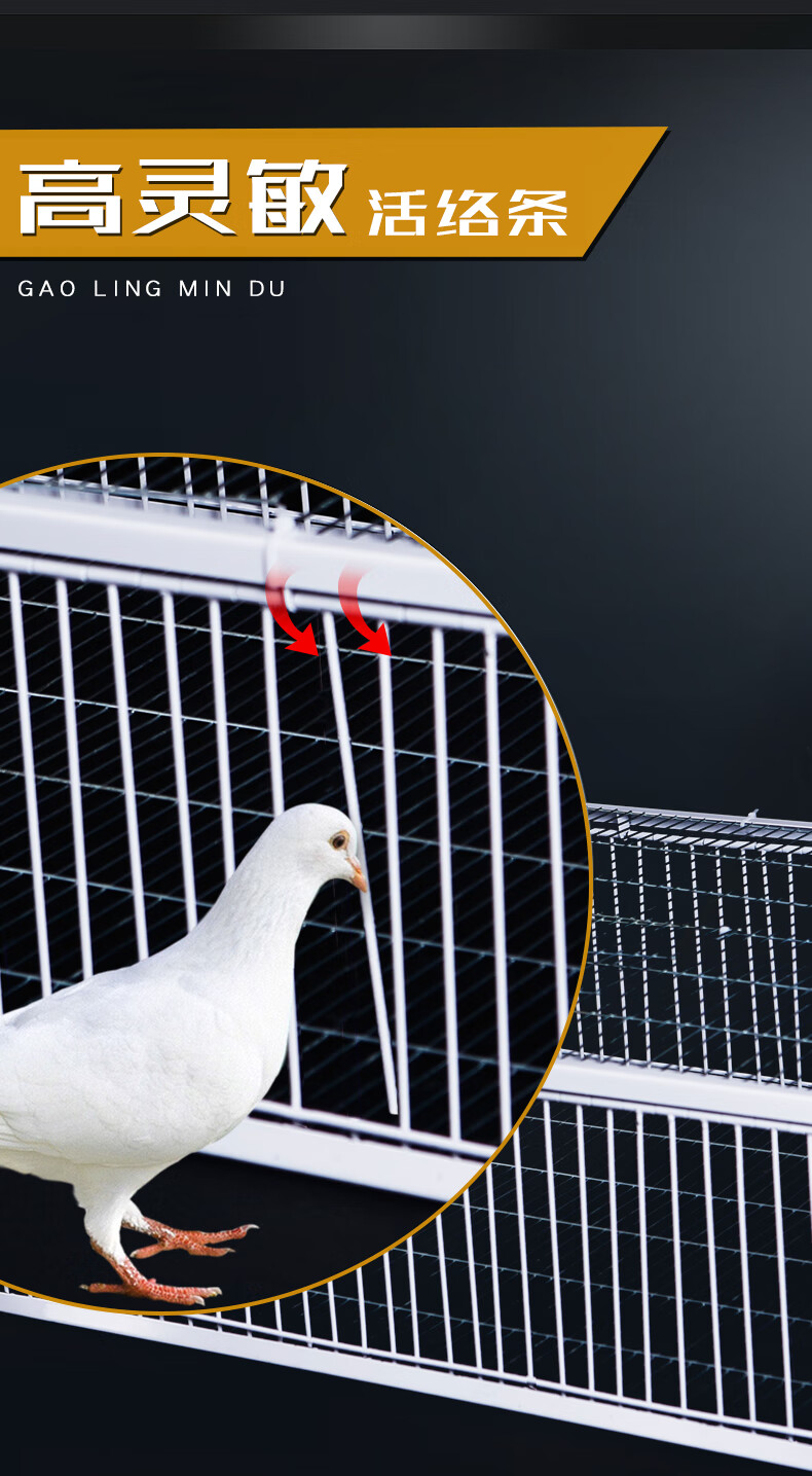 逮鸟神器捕鸽抓野鸽子只进不出抓笼加密自动捕收鸽机天落笼子撞门逮