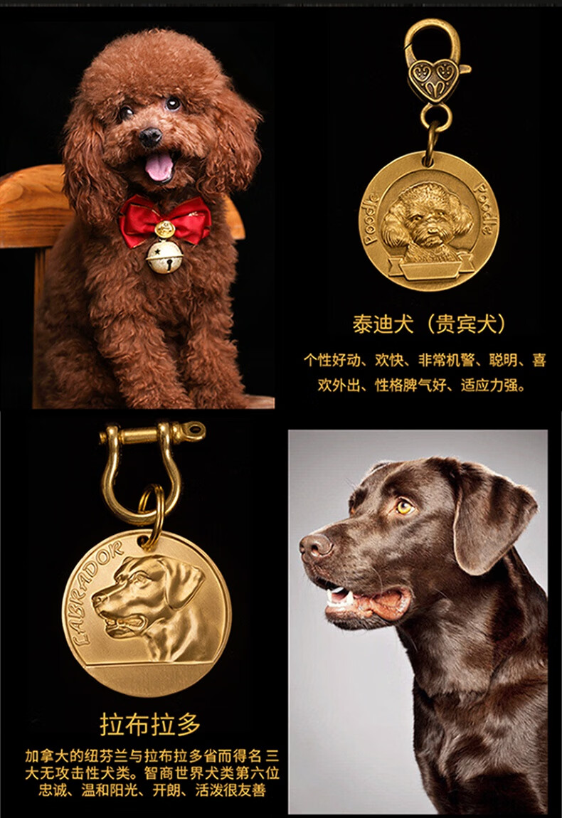 chukchi激光定制狗狗牌身份牌订做刻字狗项链饰品猫吊牌宠物铭牌博美