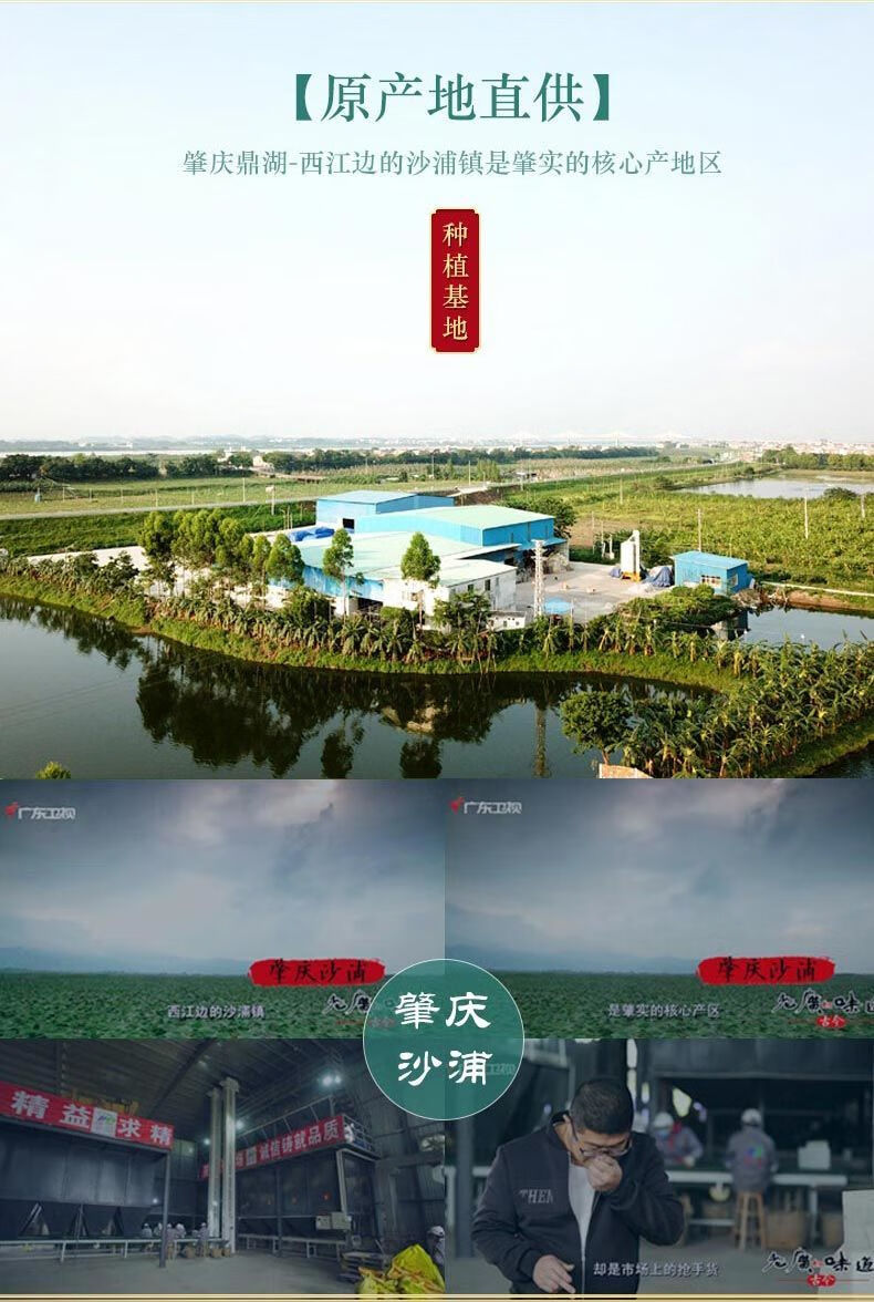 芡实干货红皮广东肇实欠实农家自产鸡头米茨实干货芡实米 中小圆粒500