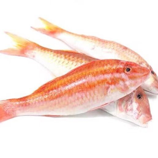 汕尾本港小红鱼干自产干货海味红中鱼微咸红鱼干下饭下粥可吃 250g试