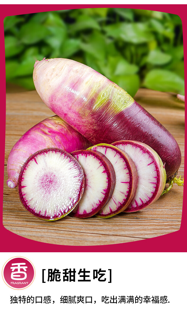 冰糖心水果萝卜冰激凌红萝卜新鲜甜脆水果型萝卜潍坊生吃 5斤【图片