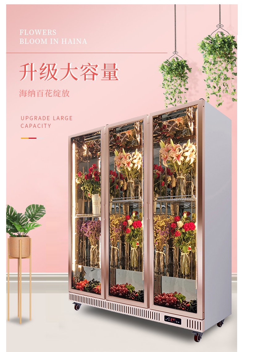 专用鲜花保鲜柜冷藏展示柜风冷立式冷柜花艺冰柜商用冰箱白色双门暖光
