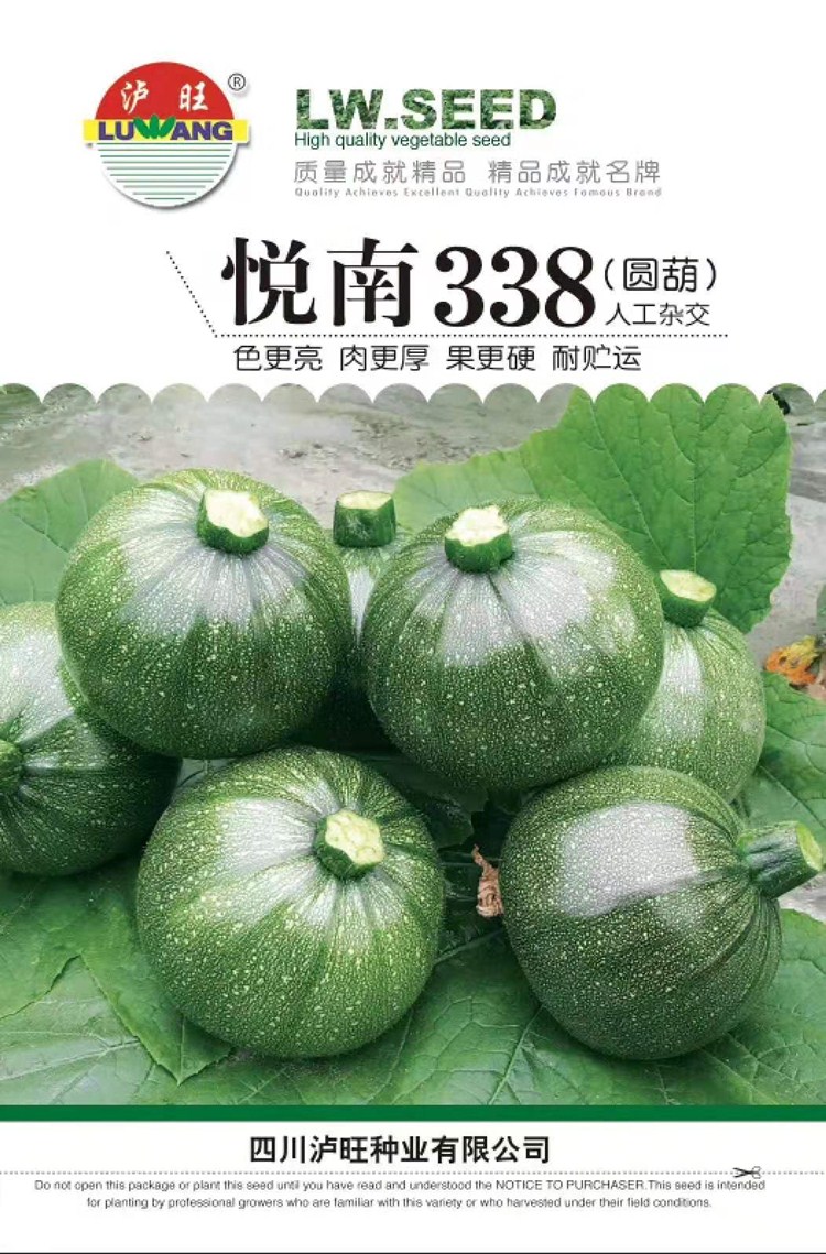 无蔓早生南瓜种子一串铃短蔓小嫩南瓜圆葫芦瓜春季田园蔬菜种籽孑无蔓