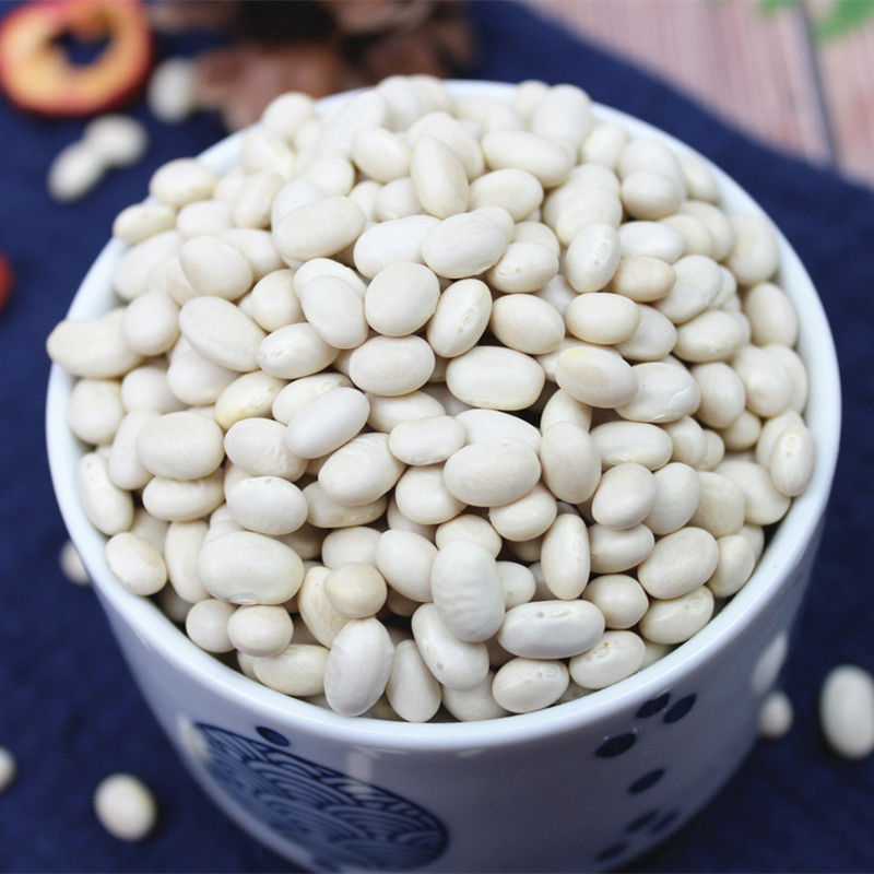 云南珍珠豆 新货农家自种小芸豆小白豆炖菜煲汤打豆浆豆类杂粮 1斤