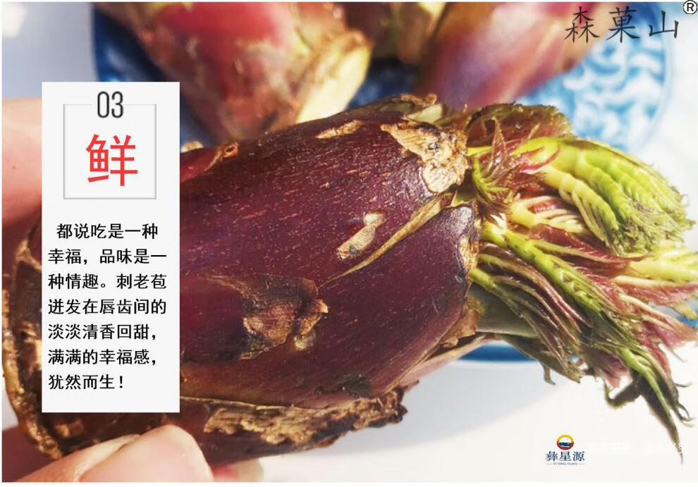 【顺丰】红头刺芽菜 云南红刺老包刺嫩芽新鲜树头菜刺苞菜刺老芽刺椿