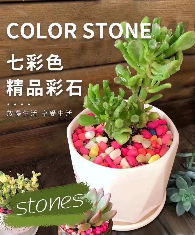 彩色石子七彩石盆栽装饰多肉铺面五彩石植物园艺鱼缸造景天然石子天然