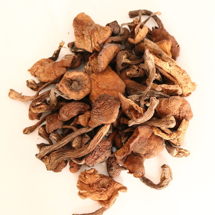 东北野生榛蘑干货小鸡炖榛蘑长白山土特产榛蘑菇去根野生榛蘑500g