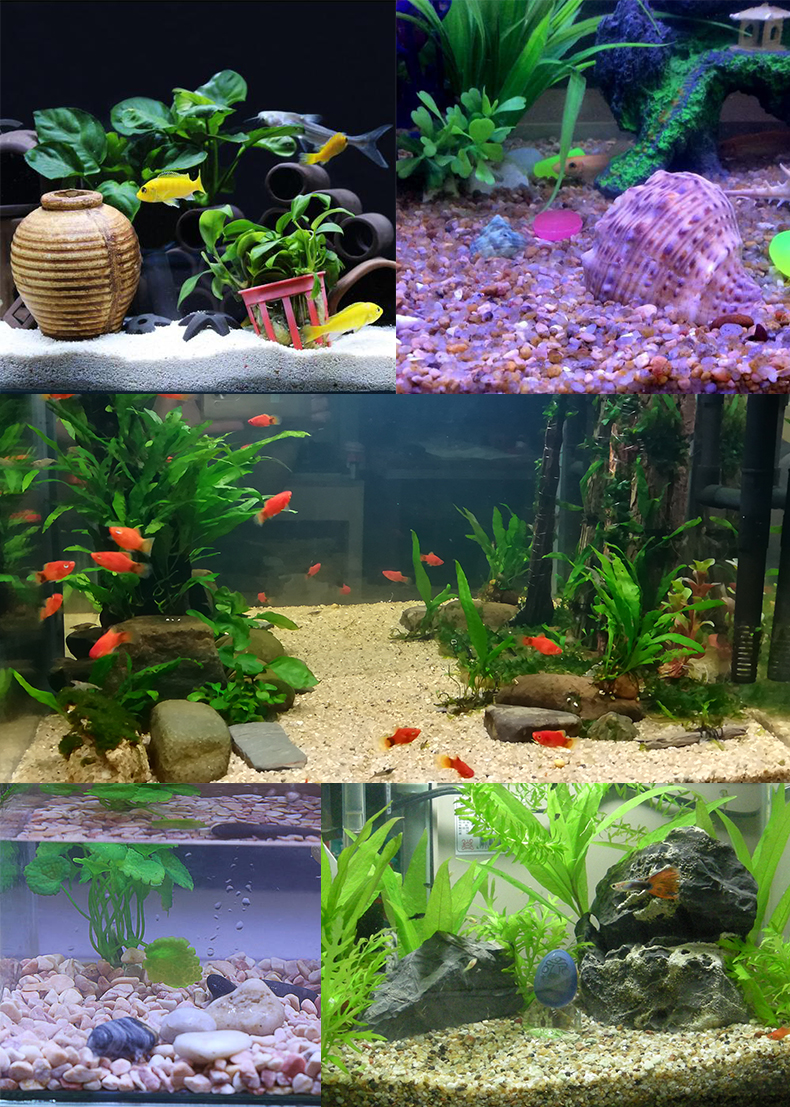 利一美鱼缸造景装饰底砂鱼缸石头沙子500g水族箱摆件布景装饰品黑珍珠