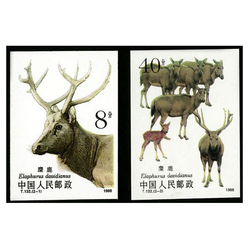 t121-t133套票 大全 集邮收藏 1988年 t132 麋鹿无齿邮票