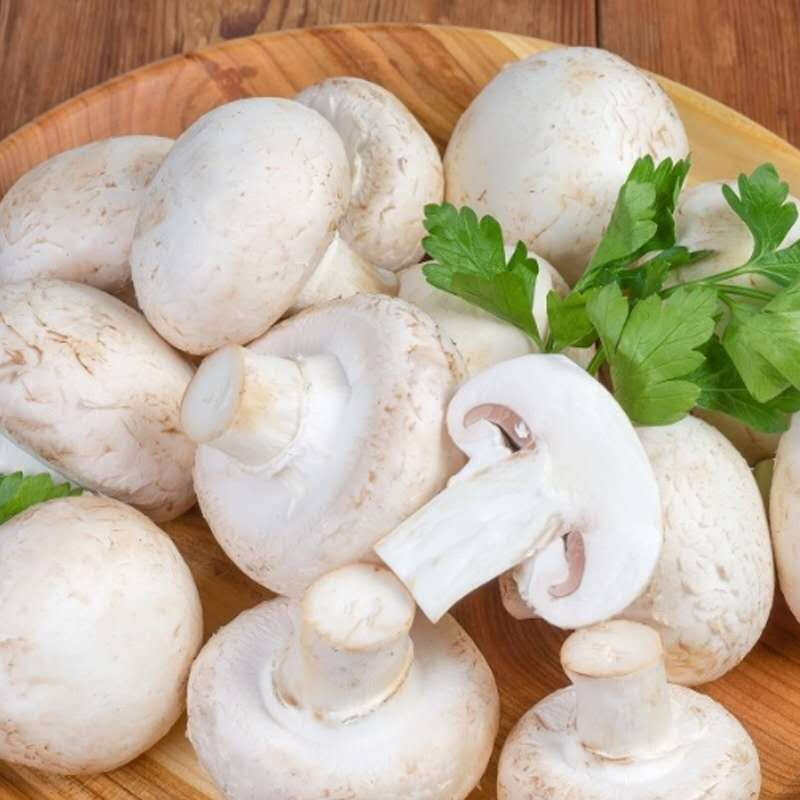 棠鲜生白蘑菇新鲜口蘑双孢菇煲汤食用菌菇煎烤蘑菇口蘑白蘑菇1000g