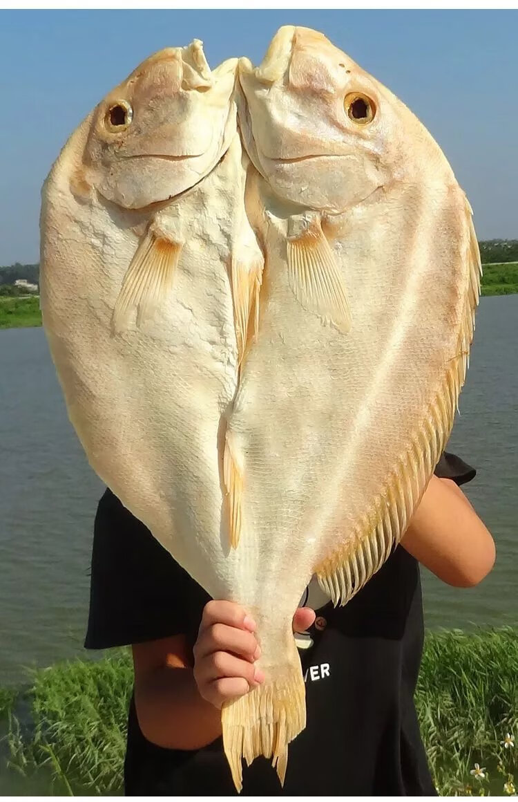 儋州红鱼干 2斤起整条红鱼干 湛江海鲜特产渔家北海大腊鱼自晒风干