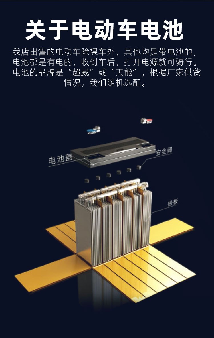 电动车电瓶车双电池电动摩托车锂电池可拆卸外卖长跑王电摩 标准版