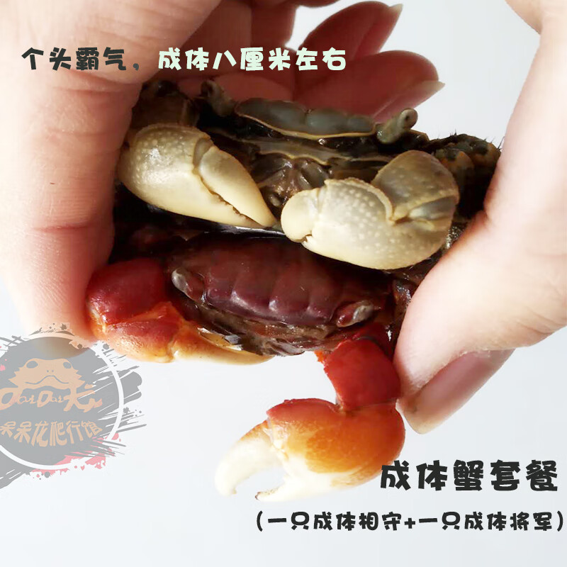 e23b800db3bb21e8.jpg