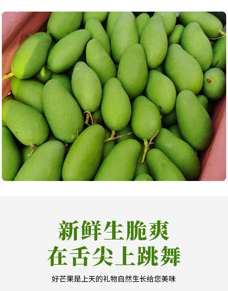 云南保山生吃青芒果新鲜三年芒酸脆应季水果潞江坝老品种现摘熟果3斤