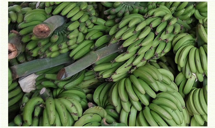 广西香蕉带箱10斤新鲜的水果生青香蕉整箱现摘新鲜2500g