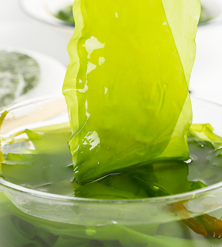 压缩海带苗 压缩有机海带苗嫩苗烘干霞浦特产正宗嫩非特级干货火锅