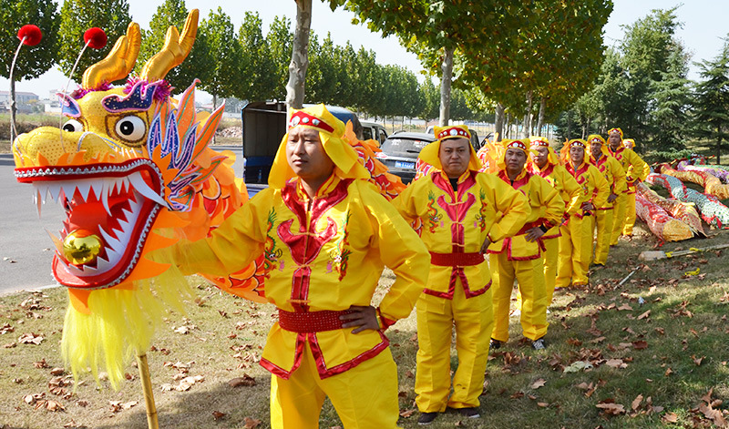 临尘舞龙舞狮密度绸布龙道具婚庆节日舞龙表演用品全套