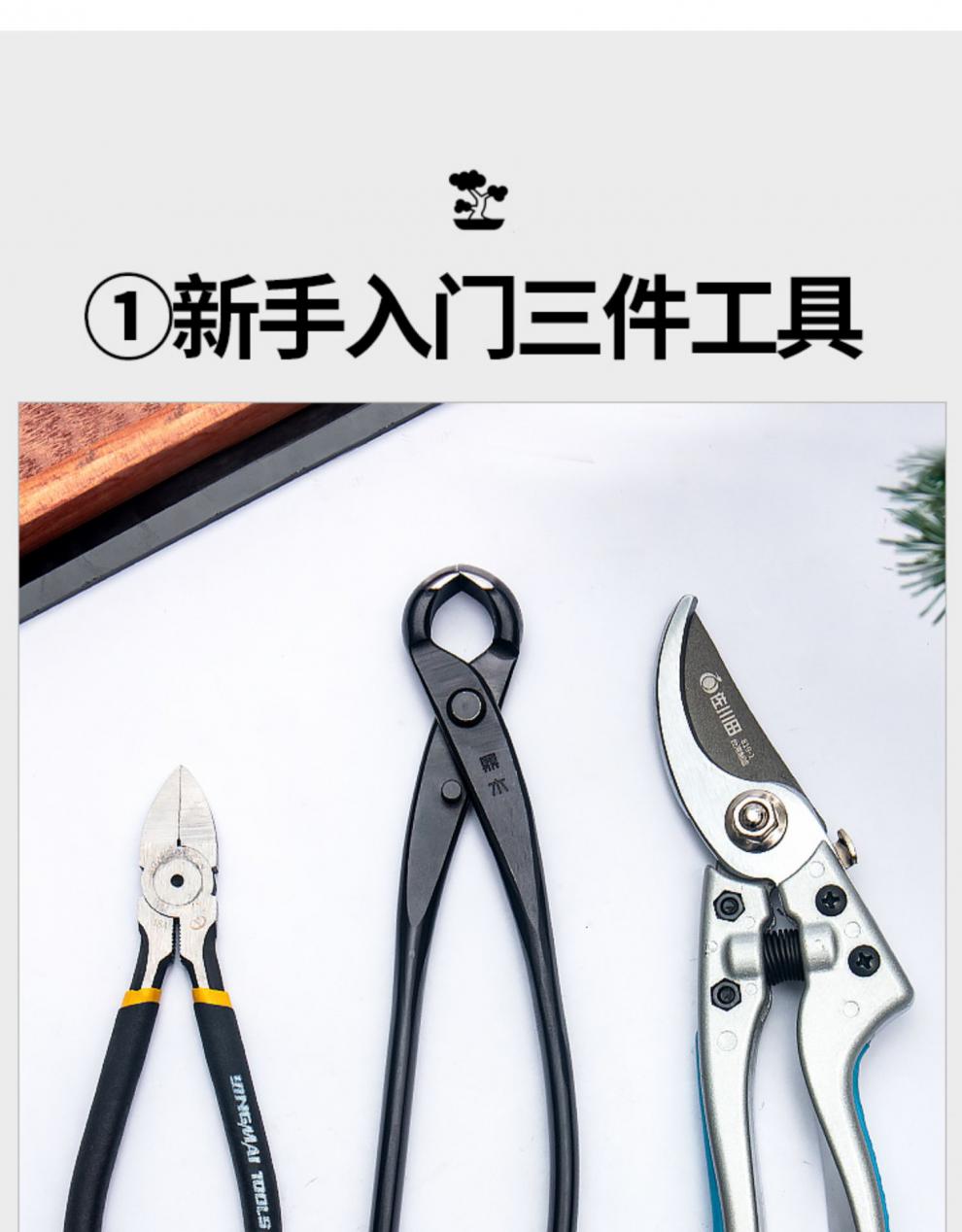 盆景修剪制作造型工具球节剪叶芽剪叉枝剪破杆钳套装鼎木不锈钢拉丝钳