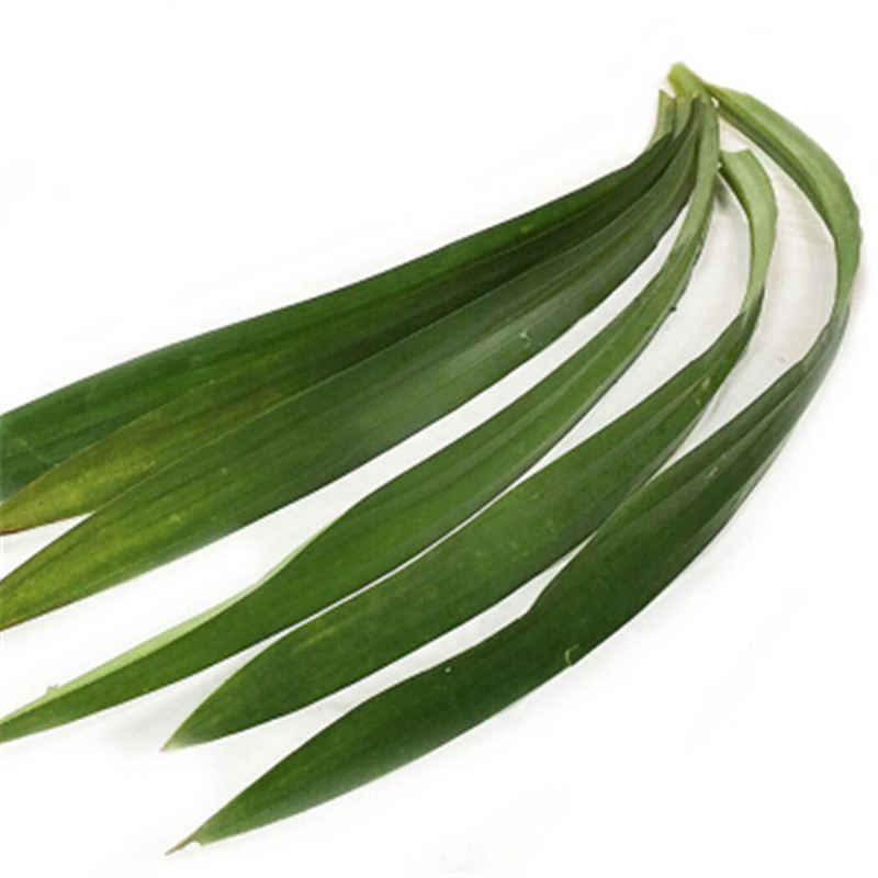 兰叶香 新鲜斑斓叶 斑兰叶 香兰叶 班兰叶生鲜斑