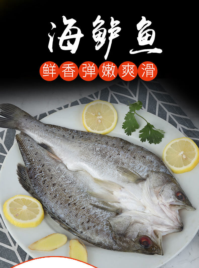 白蕉海鲈鱼活鲜冷冻开背大鲈鱼新鲜腌制海鲜深海鱼水产 海鲈鱼4条约4