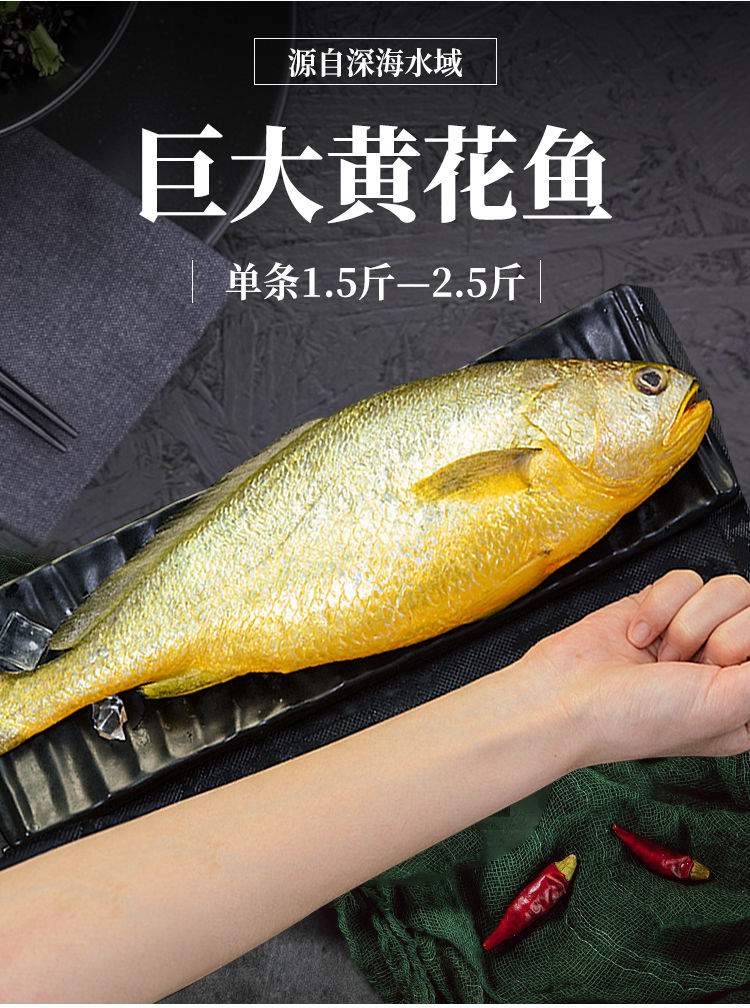 新鲜宁德大黄鱼东海海域自然养殖黄花鱼特产海鲜2斤4条装