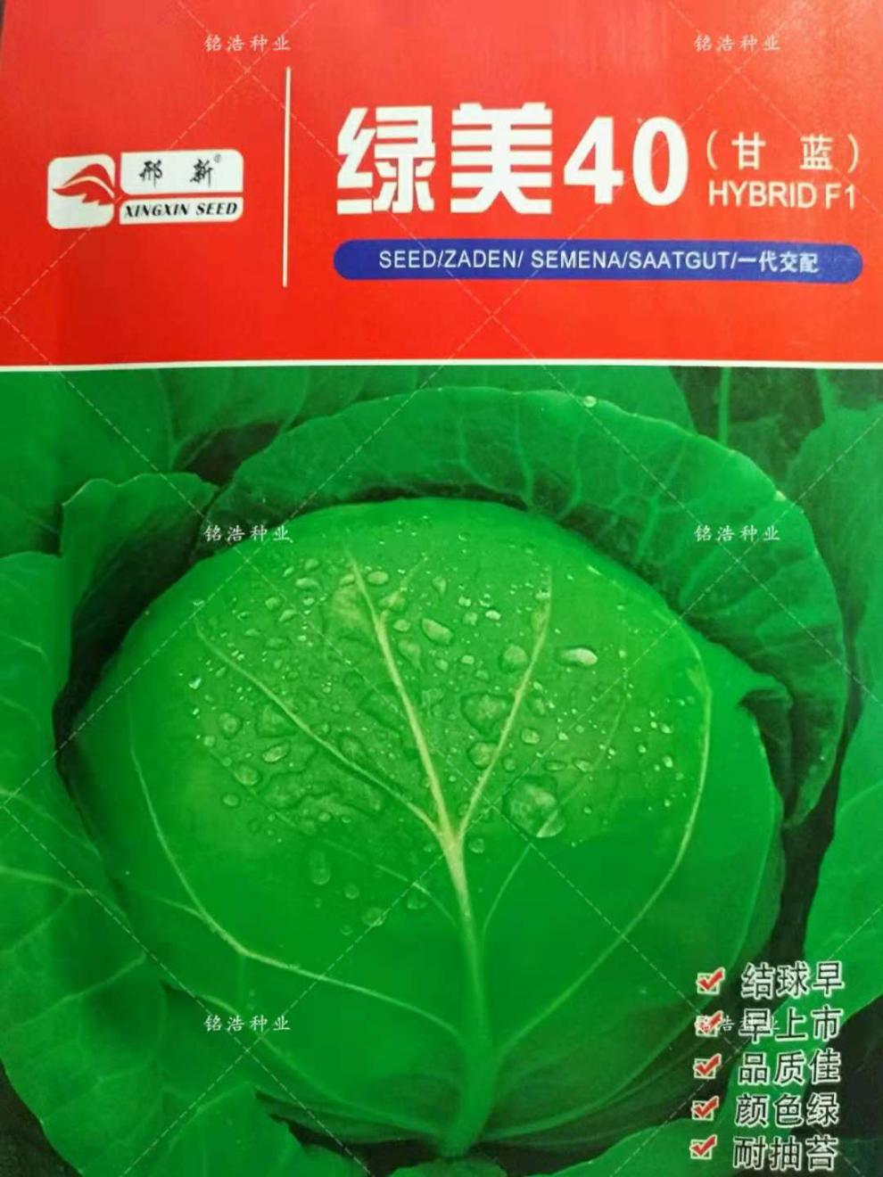 甘蓝种子卷心菜种子包心菜包菜种子包菜种子大头菜种子农家基地用绿霸
