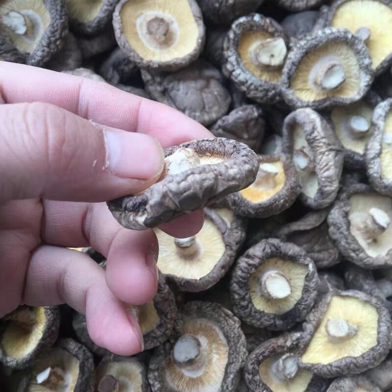 厚肉干香菇农家自产蘑菇花菇250g花菇aaa