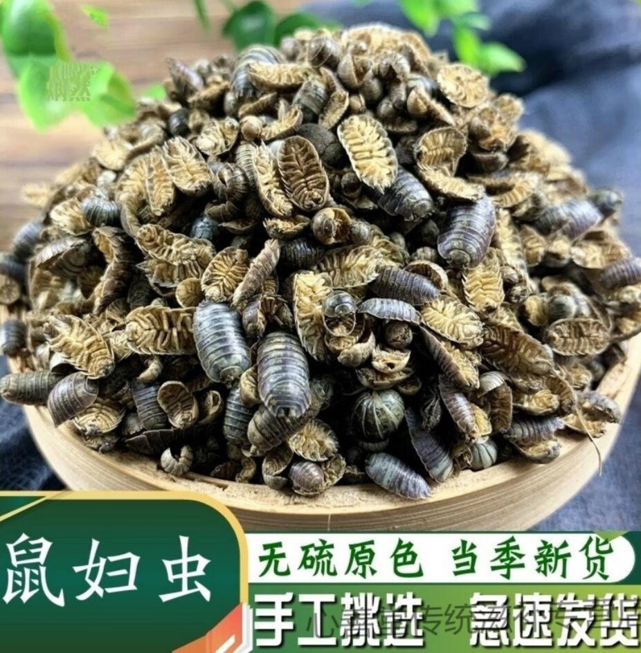 【官方滋补】鼠妇虫 中药材鼠妇虫鼠妇虫地虱湿虫潮虫西瓜虫 鼠妇虫