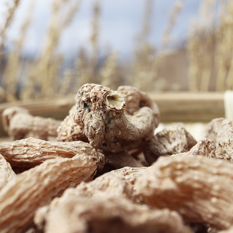 香格里拉天麻200克林芝天麻原始森林非昭通云南特产