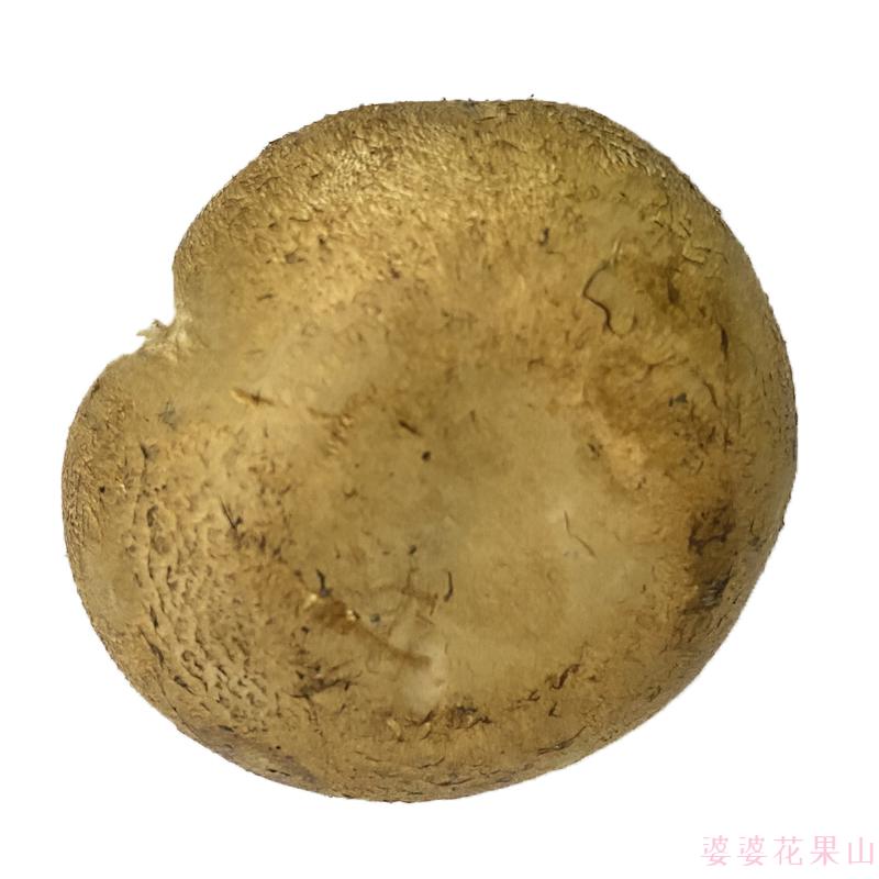 新鲜菇约500g 新鲜菌菇 波多黎各菌 浅棕色 1500g【图片 价格 品牌