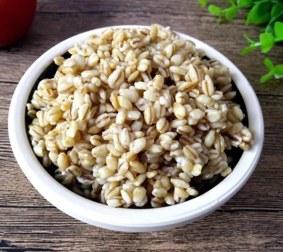 麦仁酵子安徽阜阳特产麦仁酒酿麦酵子河南麦窖浮子酒米酒月子甜酒 麦