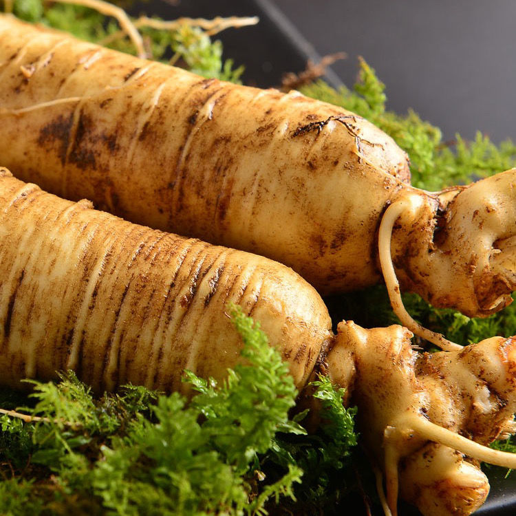 东北长白山鲜人参 大鲜人参 多须泡酒煲汤炖肉火锅 两支毛重400g