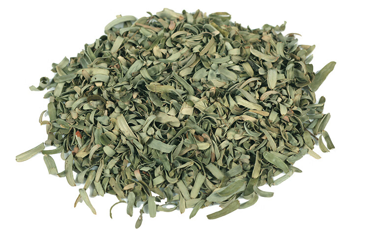 油甘叶枕新鲜新款油柑叶单人余甘叶手工油甘子夏凉