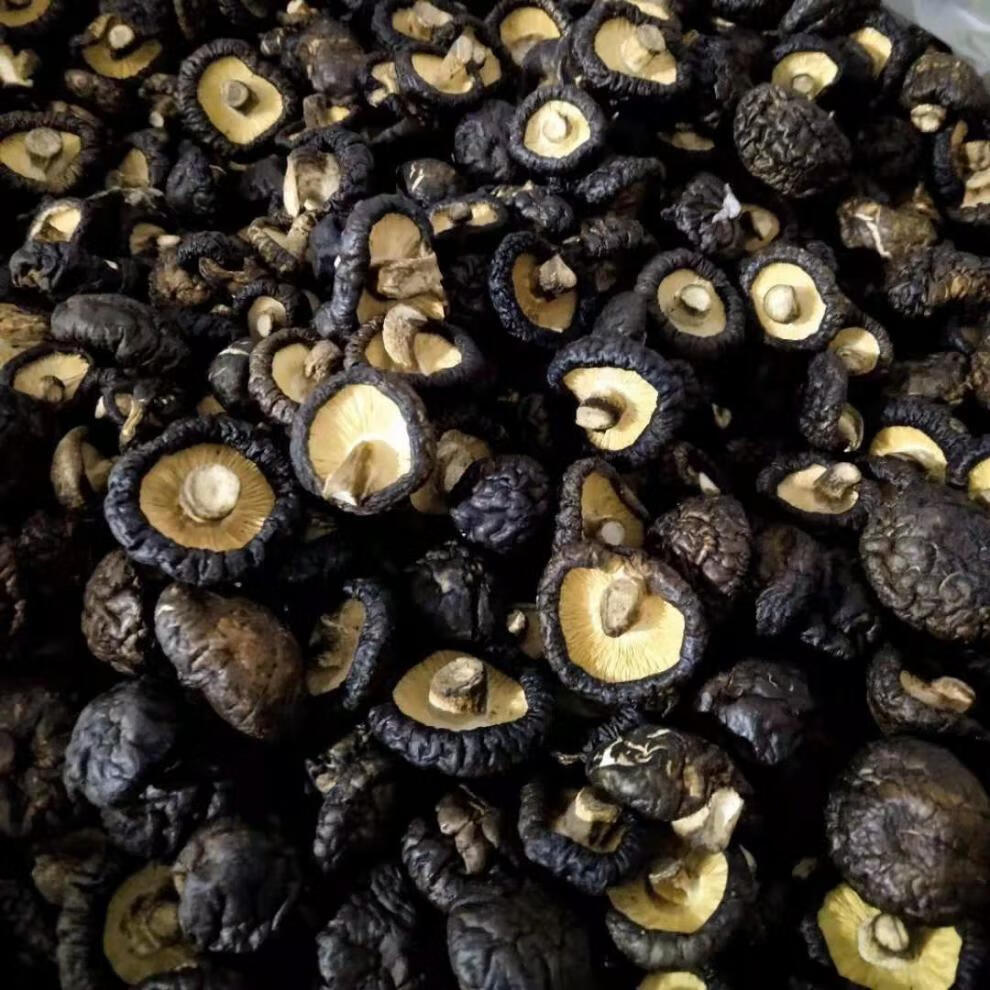 小香菇黑面干香菇小个黑油面香菇 黑油面【中型】香菇250克【图片