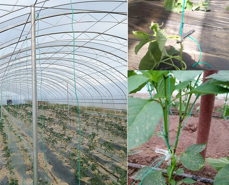 农用大棚蔬菜黄瓜西红柿吊秧绳吊蔓绳爬藤网拉绳塑料捆绑绳拉枝绳果